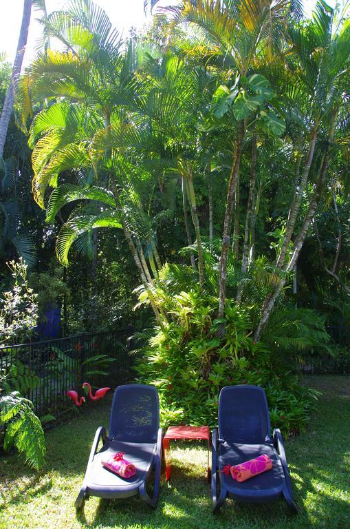 Pink Flamingo Resort Port Douglas Exterior foto